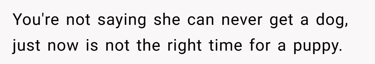 You're not saying she can never get a dog, just now is not the right time for a puppy.