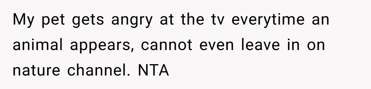 My pet gets angry at the tv everytime an animal appears, cannot even leave in on nature channel. NTA