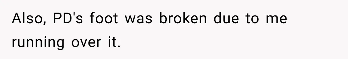 Also, PD's foot was broken due to me running over it.