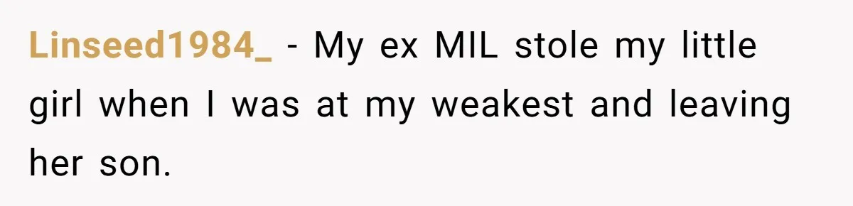 Linseed1984_ − My ex MIL stole my little girl when I was at my weakest and leaving her son.