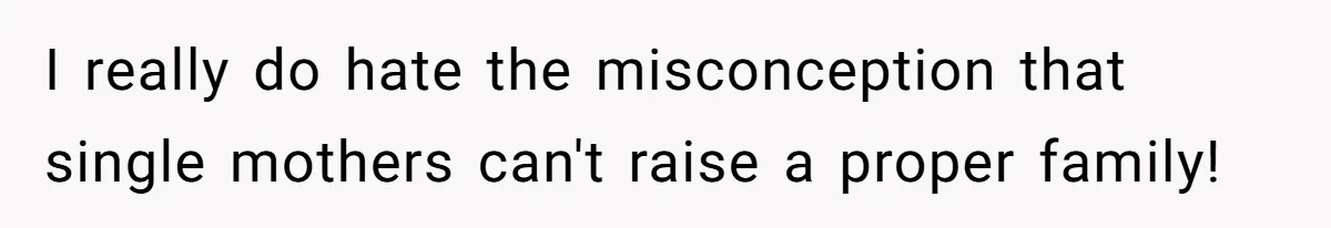I really do hate the misconception that single mothers can't raise a proper family!