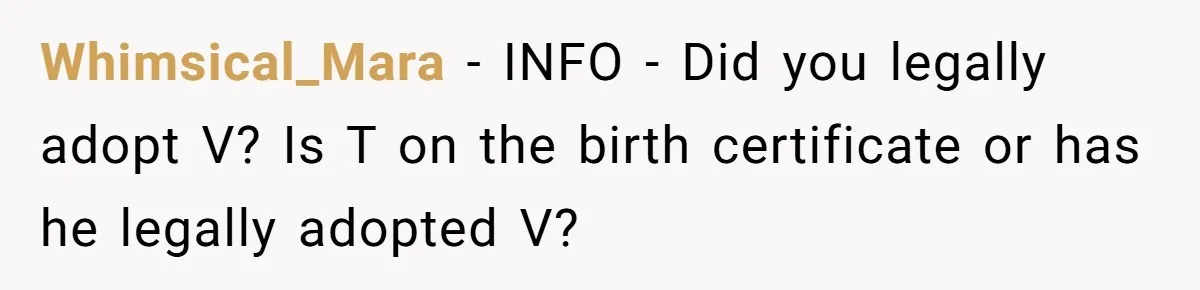 Whimsical_Mara − INFO - Did you legally adopt V? Is T on the birth certificate or has he legally adopted V?