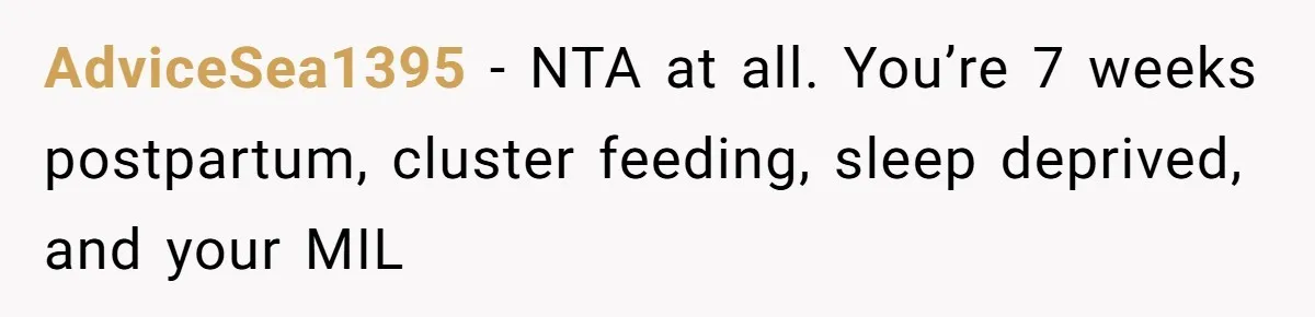 AdviceSea1395 − NTA at all. You’re 7 weeks postpartum, cluster feeding, sleep deprived, and your MIL