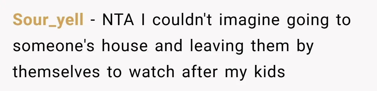Sour_yell − NTA I couldn't imagine going to someone's house and leaving them by themselves to watch after my kids