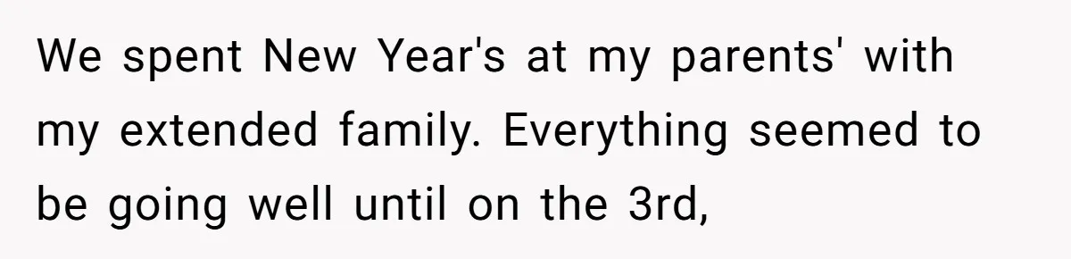 We spent New Year's at my parents' with my extended family. Everything seemed to be going well until on the 3rd,