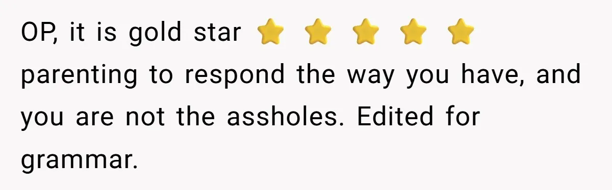 OP, it is gold star ⭐ ⭐ ⭐ ⭐ ⭐ parenting to respond the way you have, and you are not the assholes. Edited for grammar.