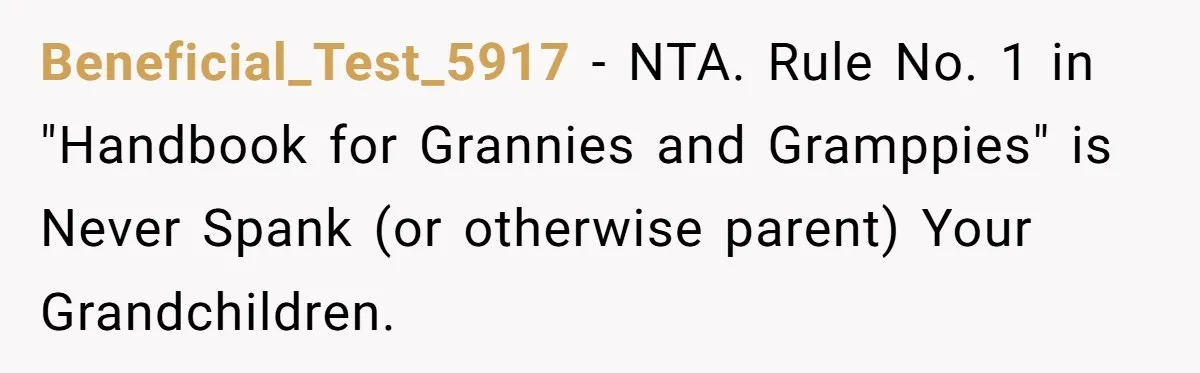 Beneficial_Test_5917 − NTA. Rule No. 1 in "Handbook for Grannies and Gramppies" is Never Spank (or otherwise parent) Your Grandchildren.