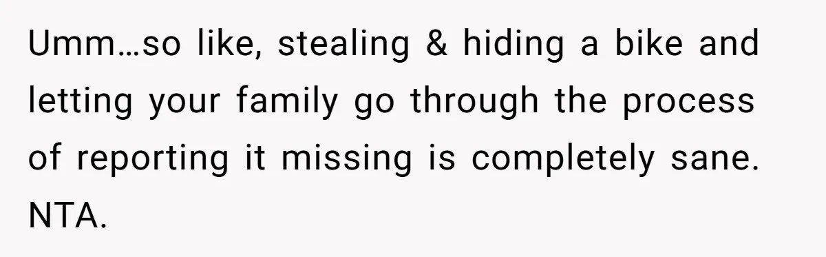 Umm…so like, stealing & hiding a bike and letting your family go through the process of reporting it missing is completely sane. NTA.