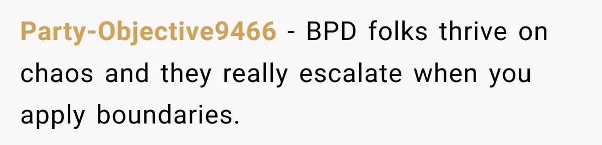 Party-Objective9466 − BPD folks thrive on chaos and they really escalate when you apply boundaries.