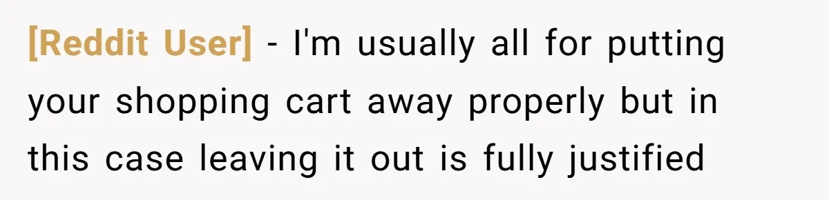 [Reddit User] − I'm usually all for putting your shopping cart away properly but in this case leaving it out is fully justified