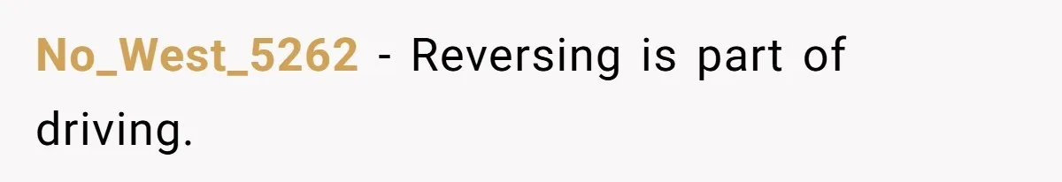 No_West_5262 − Reversing is part of driving.