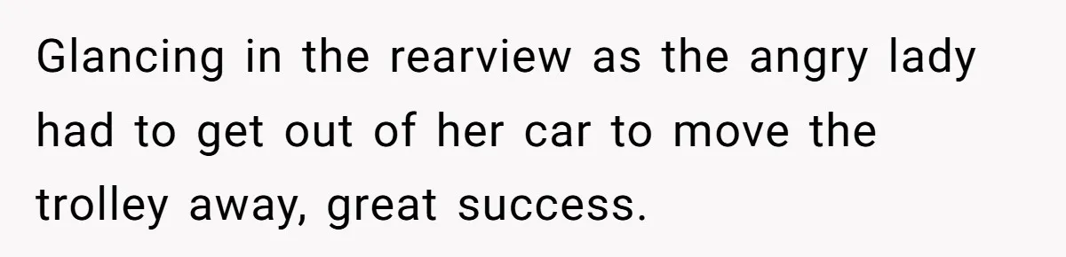 Glancing in the rearview as the angry lady had to get out of her car to move the trolley away, great success.
