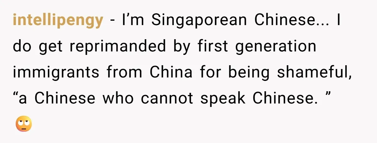 intellipengy − I’m Singaporean Chinese... I do get reprimanded by first generation immigrants from China for being shameful, “a Chinese who cannot speak Chinese. ” 🙄