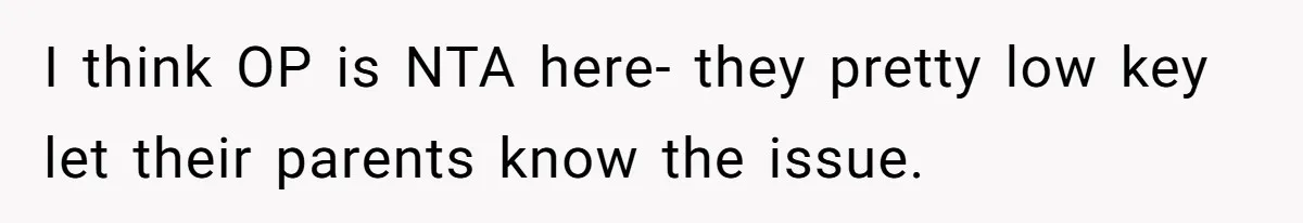 I think OP is NTA here- they pretty low key let their parents know the issue.