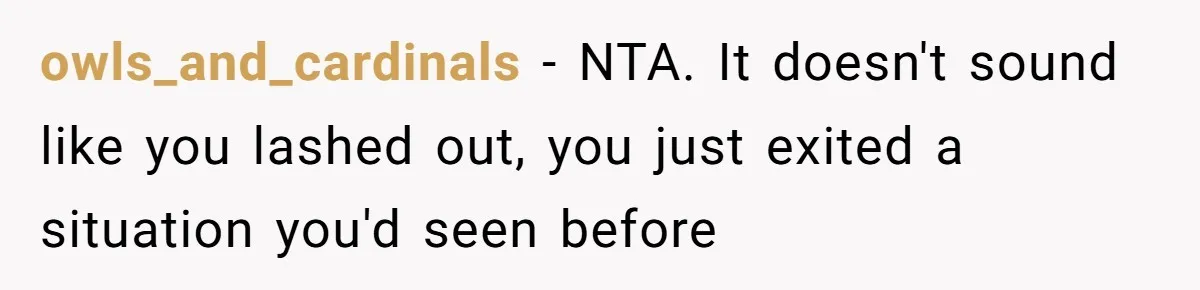owls_and_cardinals − NTA. It doesn't sound like you lashed out, you just exited a situation you'd seen before
