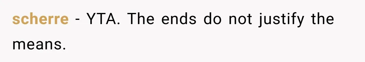 scherre − YTA. The ends do not justify the means.