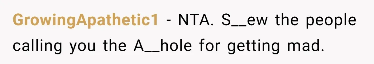 GrowingApathetic1 − NTA. S__ew the people calling you the A__hole for getting mad.