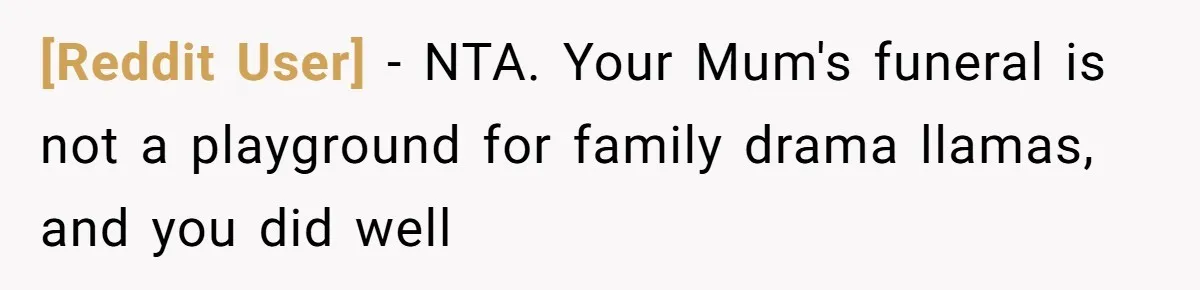 [Reddit User] − NTA. Your Mum's funeral is not a playground for family drama llamas, and you did well