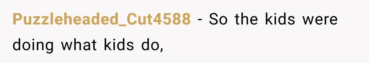 Puzzleheaded_Cut4588 − So the kids were doing what kids do,