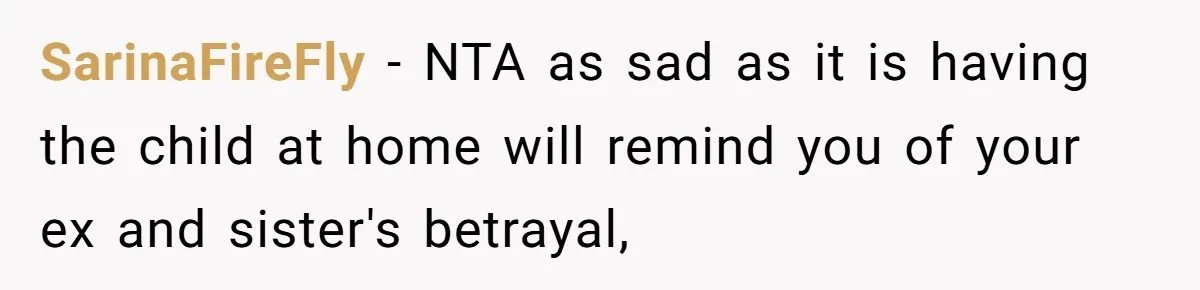 SarinaFireFly − NTA as sad as it is having the child at home will remind you of your ex and sister's betrayal,