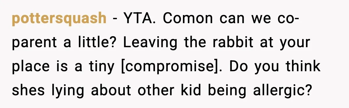 pottersquash - YTA. Comon can we co-parent a little? Leaving the rabbit at your place is a tiny [compromise]. Do you think shes lying about other kid being allergic?