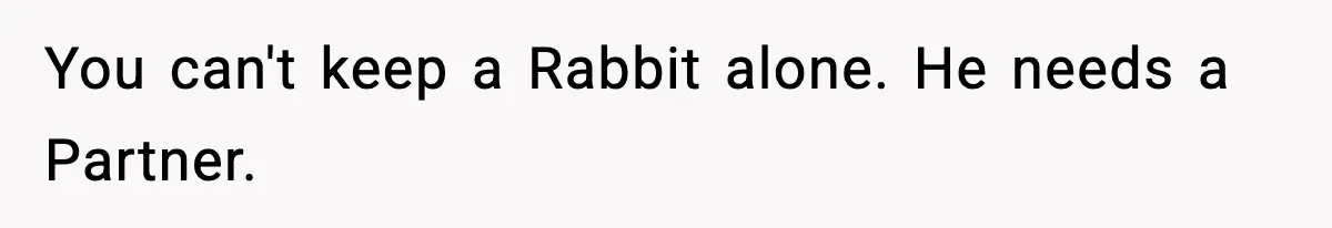 You can't keep a Rabbit alone. He needs a Partner.