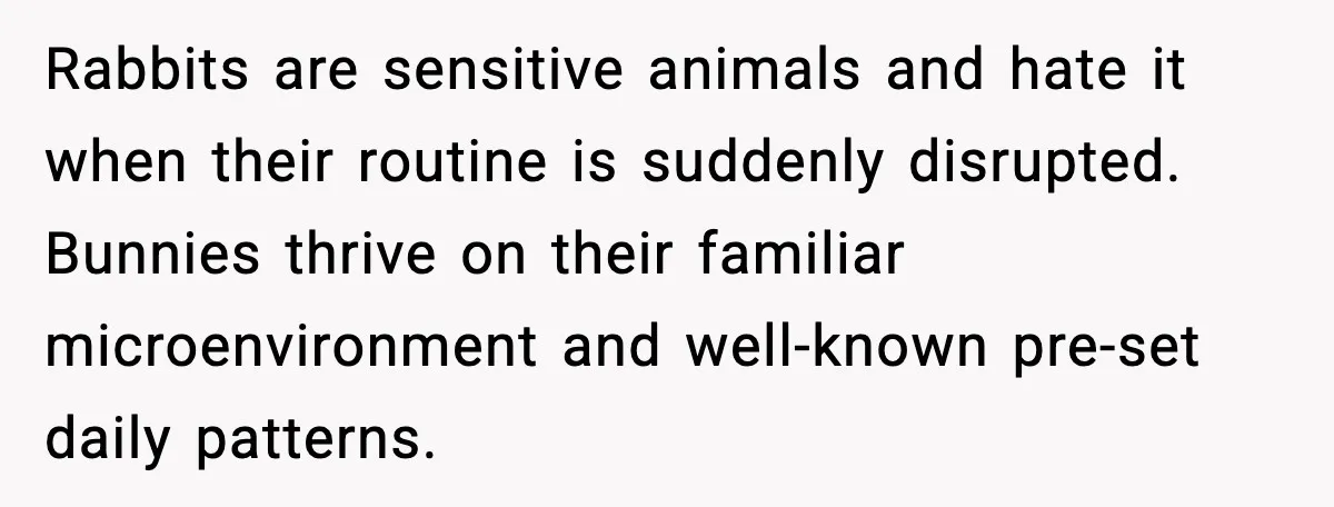 Rabbits are sensitive animals and hate it when their routine is suddenly disrupted. Bunnies thrive on their familiar microenvironment and well-known pre-set daily patterns.