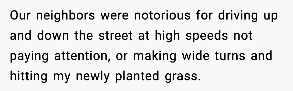 Our neighbors were notorious for driving up and down the street at high speeds not paying attention, or making wide turns and hitting my newly planted grass.