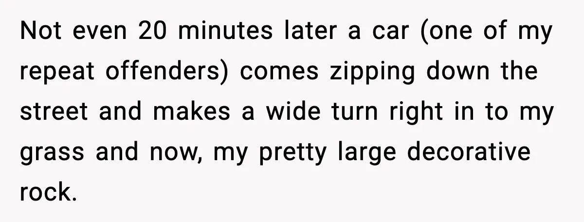 Not even 20 minutes later a car (one of my repeat offenders) comes zipping down the street and makes a wide turn right in to my grass and now, my...