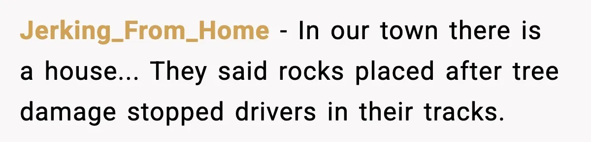 Jerking_From_Home - In our town there is a house... They said rocks placed after tree damage stopped drivers in their tracks.