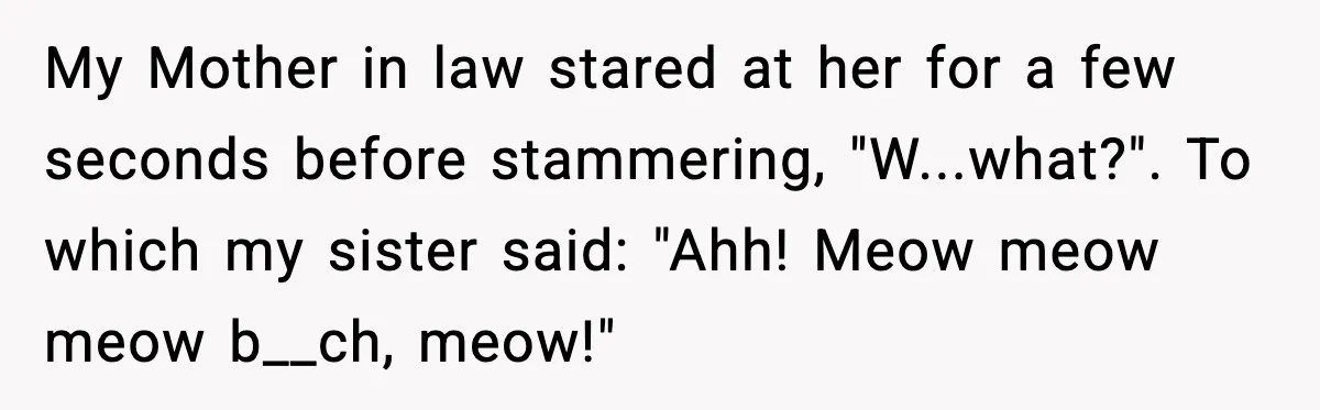 My Mother in law stared at her for a few seconds before stammering, "W...what?". To which my sister said: "Ahh! Meow meow meow b__ch, meow!"