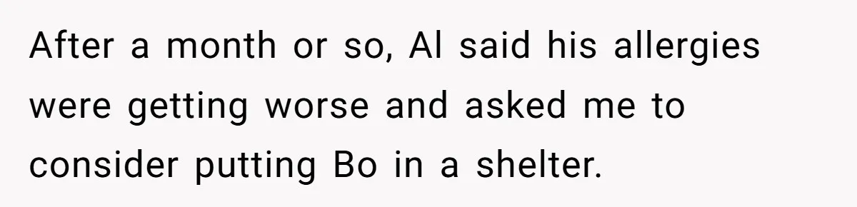 After a month or so, Al said his allergies were getting worse and asked me to consider putting Bo in a shelter.