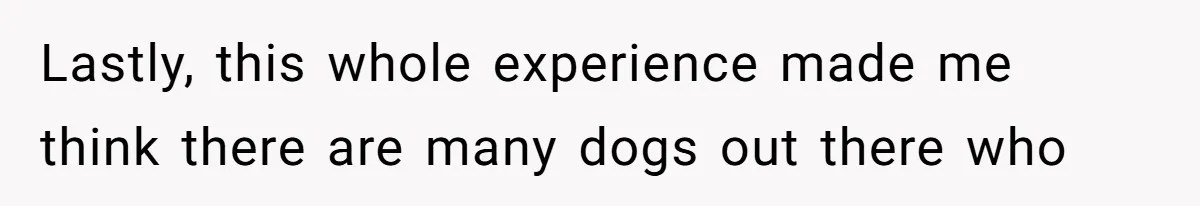 Lastly, this whole experience made me think there are many dogs out there who