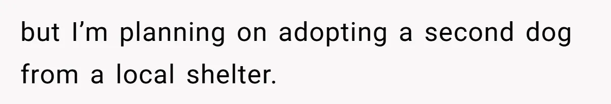 but I’m planning on adopting a second dog from a local shelter.