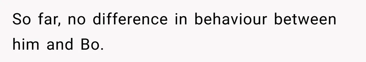 So far, no difference in behaviour between him and Bo.