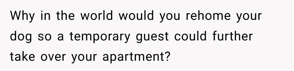 Why in the world would you rehome your dog so a temporary guest could further take over your apartment?
