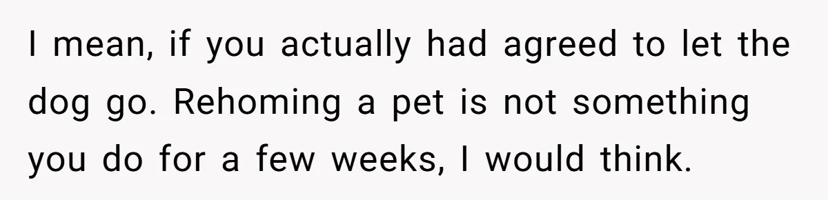 I mean, if you actually had agreed to let the dog go. Rehoming a pet is not something you do for a few weeks, I would think.