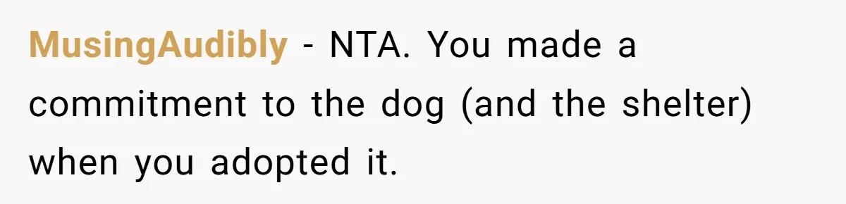 MusingAudibly − NTA. You made a commitment to the dog (and the shelter) when you adopted it.