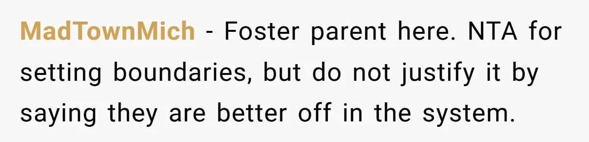 MadTownMich − Foster parent here. NTA for setting boundaries, but do not justify it by saying they are better off in the system.