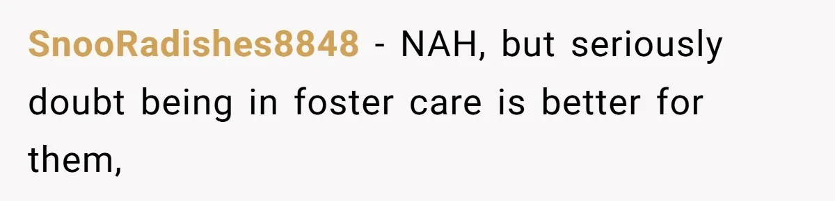 SnooRadishes8848 − NAH, but seriously doubt being in foster care is better for them,
