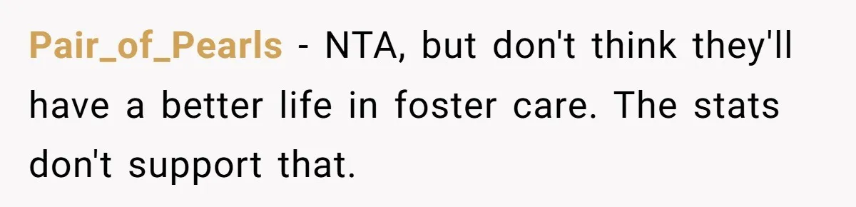 Pair_of_Pearls − NTA, but don't think they'll have a better life in foster care. The stats don't support that.