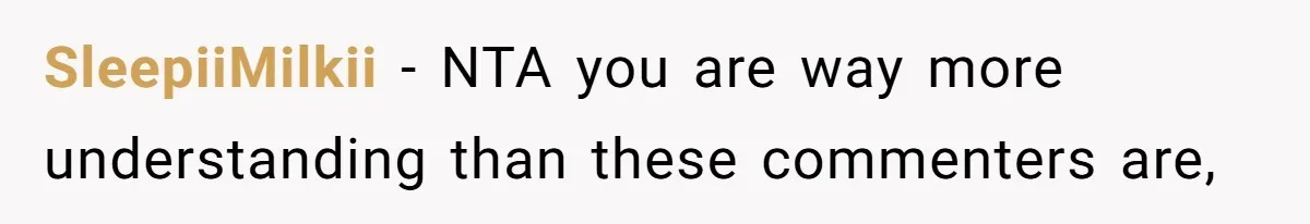 SleepiiMilkii − NTA you are way more understanding than these commenters are,
