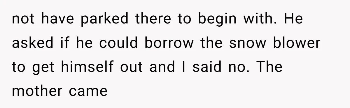 not have parked there to begin with. He asked if he could borrow the snow blower to get himself out and I said no. The mother came