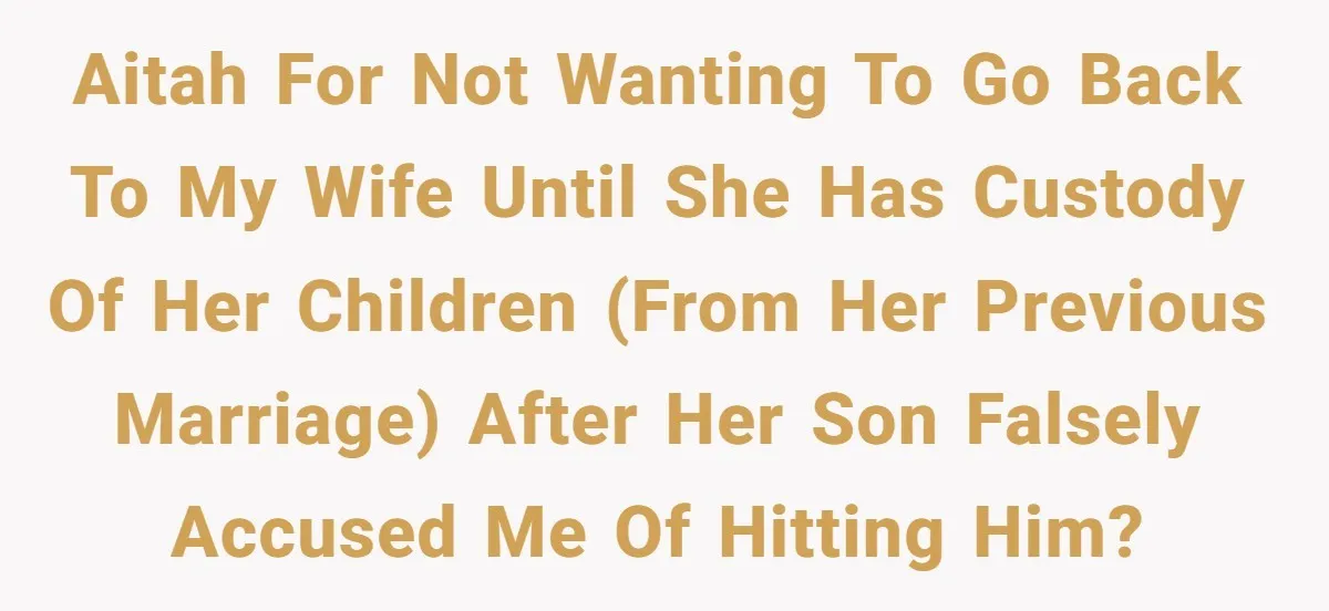 AITAH for not wanting to go back to my wife until she has custody of her children (from her previous marriage) after her son falsely accused me of hitting him?