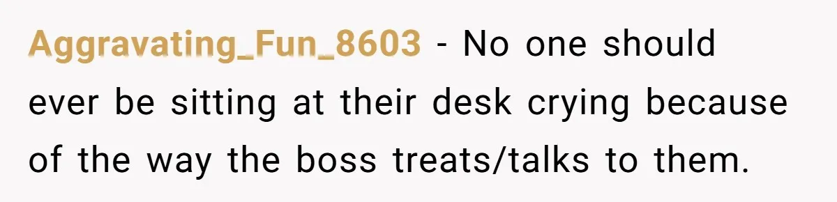 Aggravating_Fun_8603 - No one should ever be sitting at their desk crying because of the way the boss treats/talks to them.