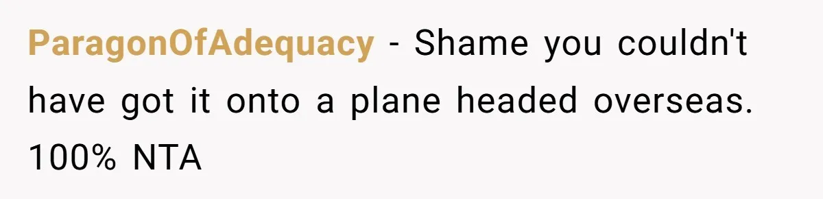 ParagonOfAdequacy - Shame you couldn't have got it onto a plane headed overseas. 100% NTA