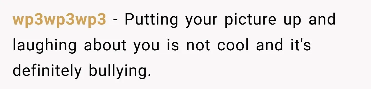 wp3wp3wp3 - Putting your picture up and laughing about you is not cool and it's definitely bullying.