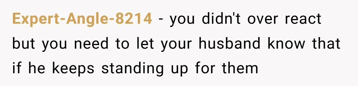 Expert-Angle-8214 − you didn't over react but you need to let your husband know that if he keeps standing up for them