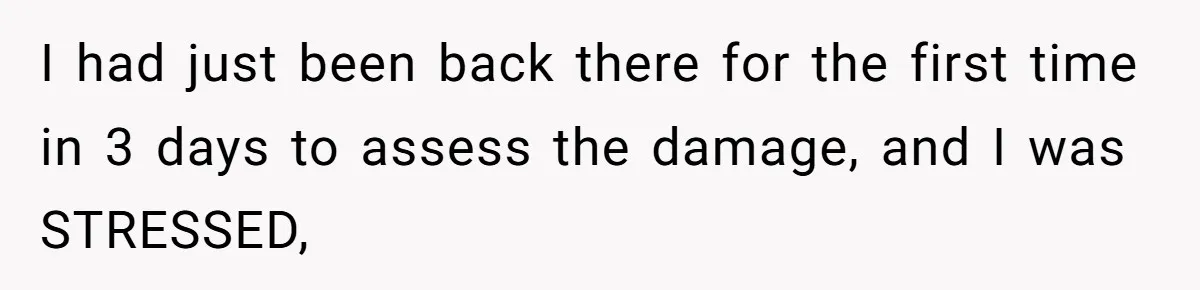 I had just been back there for the first time in 3 days to assess the damage, and I was STRESSED,