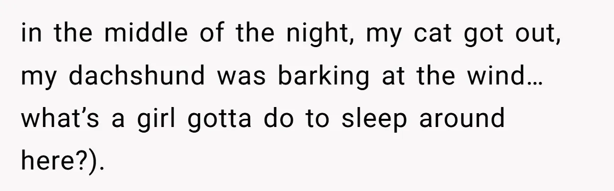 in the middle of the night, my cat got out, my dachshund was barking at the wind… what’s a girl gotta do to sleep around here?).